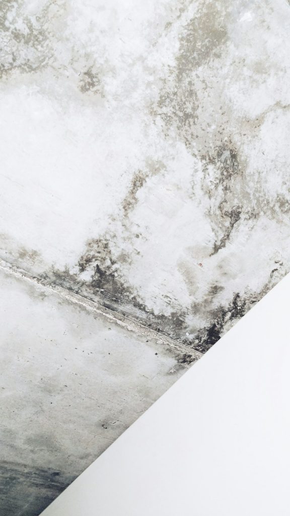 Texture & geometry