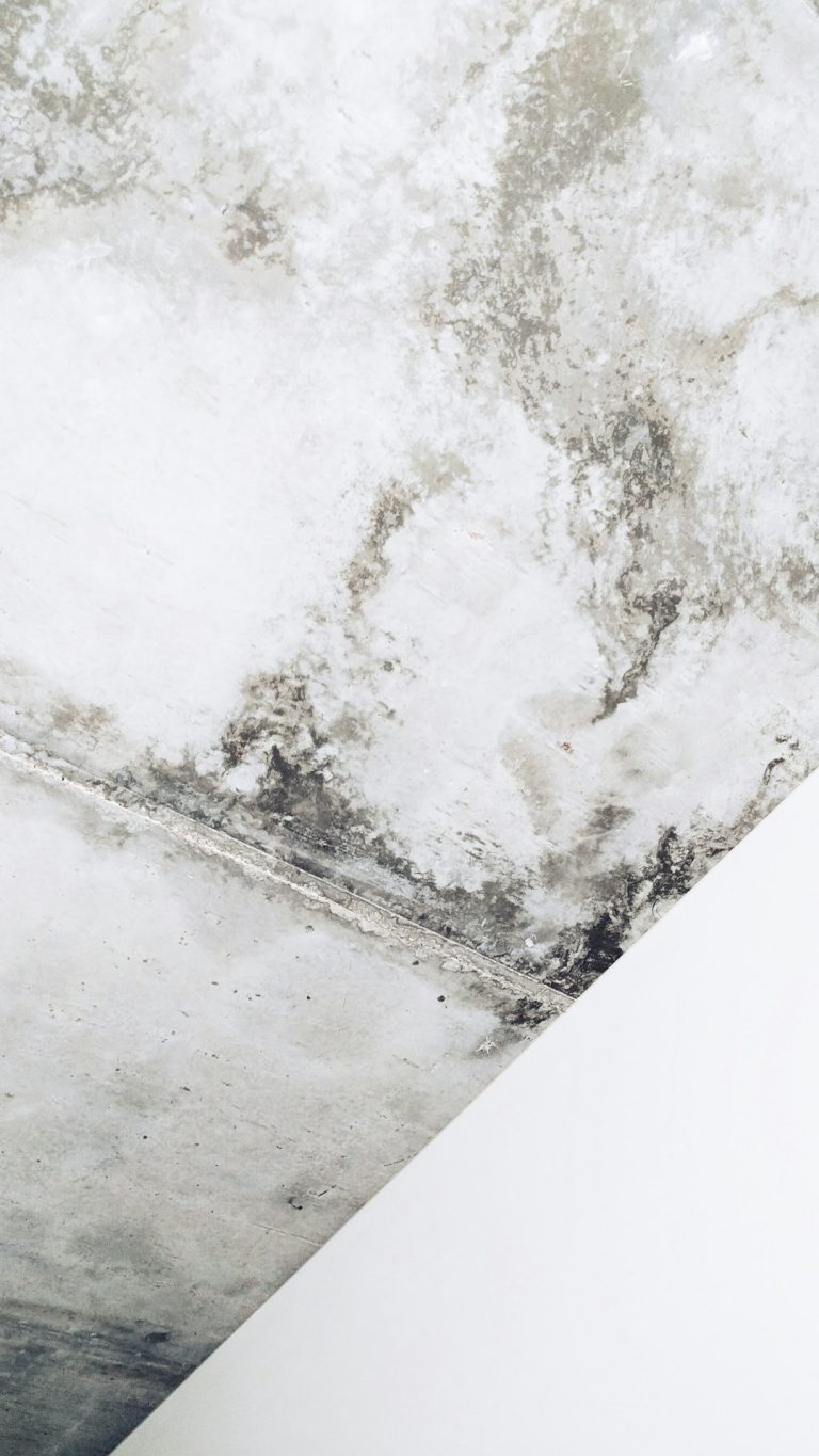 Texture & geometry