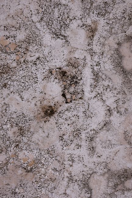 Close-up of a gritty, textured wall surface with natural patterns and earthy tones.